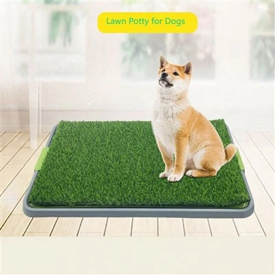 Orinal interior para perros